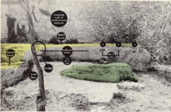 Beit ha-Miqdash ha-Rishon cubits